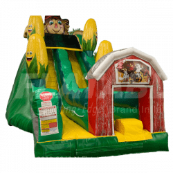 Scarecrow Slide 24ft