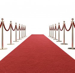 Red Carpet, Stanchions, and Velvet Ropes